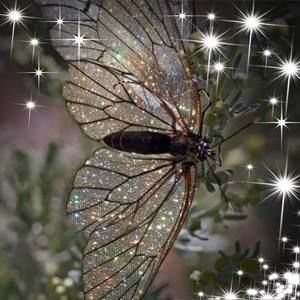 Meet your Posher, Everett